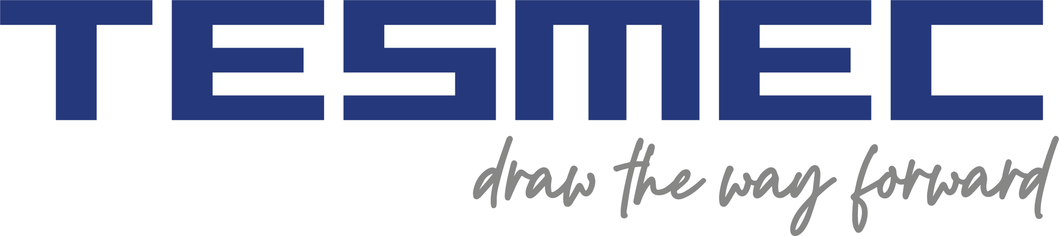 Logo_Tesmec_Payoff_RGB (3)